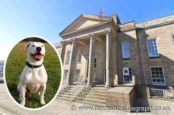 Burnley couple fined after dog attacks woman in street