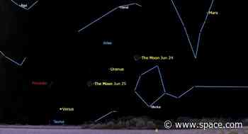 See the moon 'jump' over Uranus in the predawn sky this week
