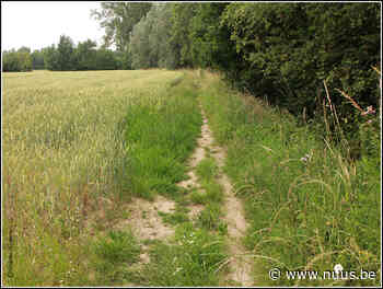Op zoek naar een naam voor alle wandelwegjes in Oosterzele - NUUS