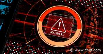 Ransomware Cost US Schools $3.56 Billion in 2021, Study Says     - CNET