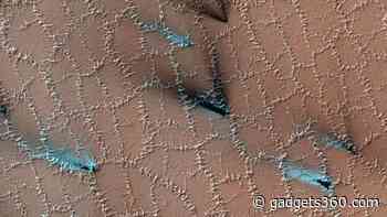 Lacy Honeycomb Structures Found on Mars; Water, Ice, and Co2 Said to Be Responsible