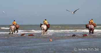REEKS. Koksijde in 10 onmisbare tips: Zwemmen op de Zeedijk, met de paardenvisser op garnaaljacht en genieten van Night of the Proms - Het Laatste Nieuws
