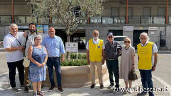 Il Lions Club di Montesilvano dona una pianta d'ulivo alla città posizionata davanti alla stazione - IlPescara
