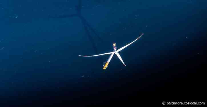 Biden And East Coast Governors, Including Hogan, Team Up To Boost Offshore Wind