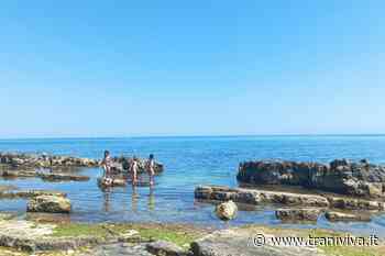 Tutela dell'ambiente e della salute a Trani: nasce Oikos, un'associazione di cittadini - TraniViva