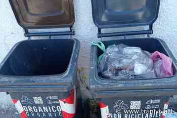 Ricollocazione dei carrellati su Porto e lungomare, da domani i sopralluoghi del Comitato Tecnico - TraniViva