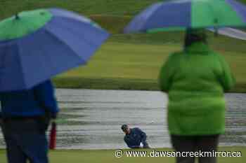 Scheffler, McIlroy highlight strong field at Travelers - Dawson Creek Mirror