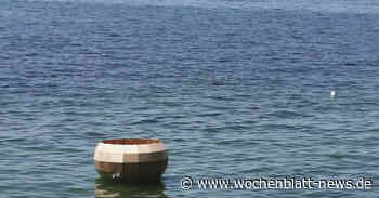 Biennale Lindau: Ein Besuch, der sich lohnt - WOCHENBLATT