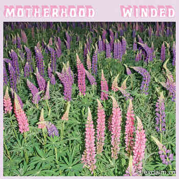 Fredericton's Motherhood Make Refinement a Breeze on 'Winded' - Exclaim!