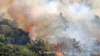 Waldbrände in Südtürkei und Zypern wüten weiter