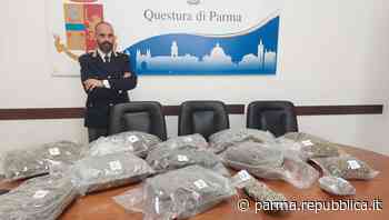 Droga, sequestrati oltre dieci chili di marijuana a Parma. Un arresto della polizia - La Repubblica