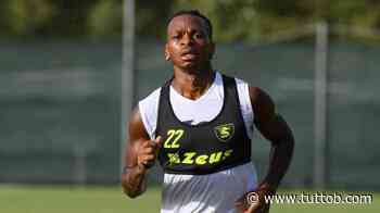 Parma: possibile ritorno per Obi? - Tutto B