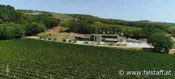 Wein der Etrusker an der toskanischen Küste