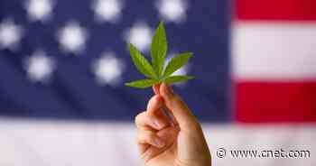 Where is Pot Legal? Marijuana Laws in Every State     - CNET