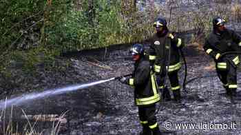 Maxi-incendio alla periferia di Nerviano: ridotti in cenere 15mila metri quadrati di campi - IL GIORNO