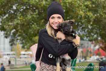 Provincial swift water rescue teams to resume search for missing Kelowna woman