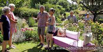 Ein kleines Gartenparadies - Lahr - Badische Zeitung