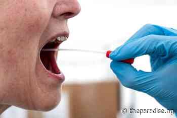 Omicron subvariant is dominating Denmark’s coronavirus cases | The Paradise News - The Paradise News