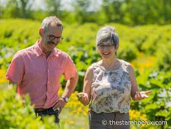 Bridges: Black Fox Farm and Distillery founded on sustainability and family