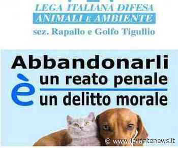 Rapallo: appello di Leidaa contro l’abbandono di animali - LevanteNews.it
