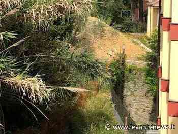 Lettere/ “Rapallo: 17 posti auto e il sacrificio della natura” - LevanteNews.it