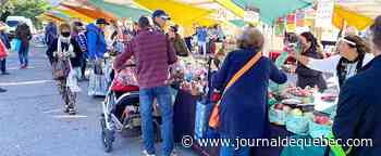 Sur la route des marchés fermiers!