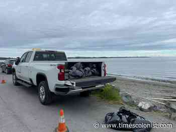 Large quantity of pills found strewn on Lagoon Beach in Colwood - Times Colonist
