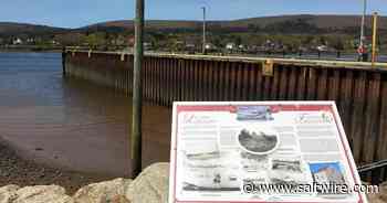 Holes in wharf in Annapolis Royal, NS, need to be covered before parking extended: Engineer - Saltwire