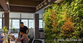 Erco-Whitepaper „Die perfekte Beleuchtung einer Pflanzenwand“