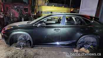 High-end stolen vehicles found in shipping containers to be sent overseas: OPP