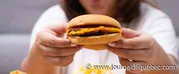 [BALADO] Cerveau: la malbouffe rend-elle idiot?