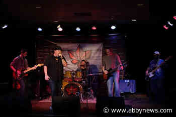 Tribute bands, dhol drummers, zipline set to entertain at Abbotsford’s Berry Fest