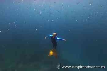 Fin-tastic! Growing 'mermaiding' subculture makes a splash - Virden Empire Advance