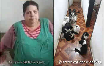 Gatos de moradora de Cotia que pediu ajuda antes de morrer são adotados - Cotia e Cia