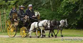Koets met minipaardjes wint Elegantietocht | Waregem | hln.be - Het Laatste Nieuws