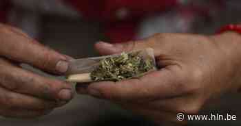 Jaar voorwaardelijke celstraf voor dertiger voor drugshandel vanuit zijn woning in Waregem - Het Laatste Nieuws