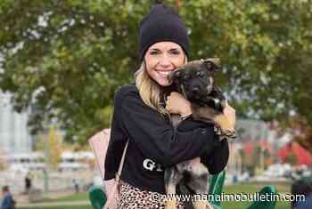 Final search of Mission Creek after woman goes missing during Kelowna floods