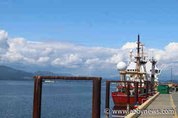 West Coast expedition off B.C. explores never-before-seen deep-sea habitat
