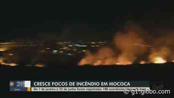 Mococa tem aumento de 168% em ocorrências de incêndio este ano - Globo