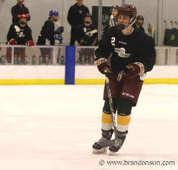 Dennis tries to impress Wheat Kings brass - The Brandon Sun