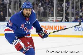 'A movement not a moment': NHL focuses on racial diversity - The Brandon Sun