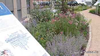 Datenschutzgarten in Bonn eröffnet – den Bienen gefällt das - heise online