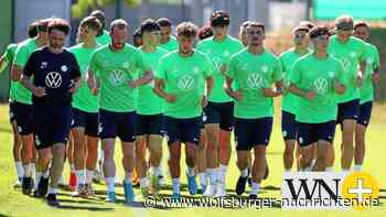 So arbeitet die Scoutingabteilung des VfL Wolfsburg - Wolfsburger Nachrichten