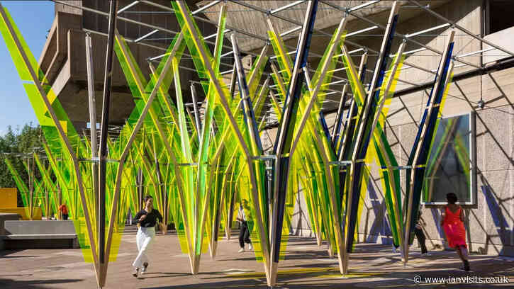 An artifical hop field has sprouted at the Southbank Centre