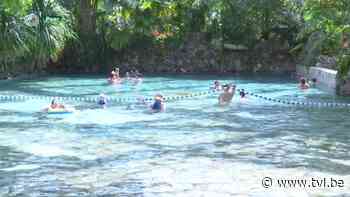 Limburgse vakantieparken drukker bezet van voor corona - TV Limburg