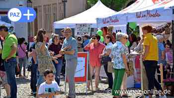 Peine: „Fest der Kulturen“ bietet vielfältiges Programm am 4. Juni - Peiner Allgemeine Zeitung - PAZ-online.de
