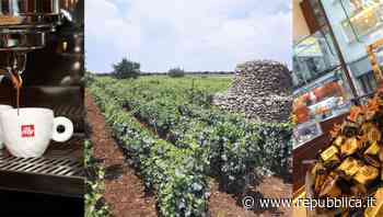 Cento acquisizioni in tre anni i private equity scoprono il food - la Repubblica