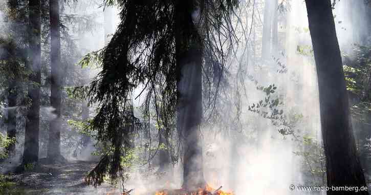 Waldbrand bei Aschaffenburg schnell gelöscht