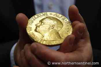 Nobel sold for Ukrainian kids shatters record at $103.5M - Kitimat Northern Sentinel