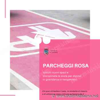 Putignano - Arrivano i nuovi parcheggi rosa - Putignano Informatissimo